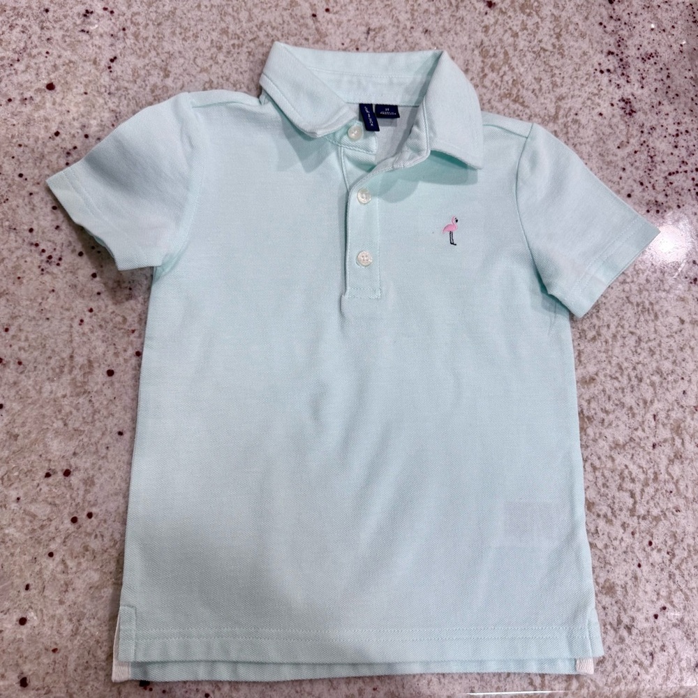 Janie and Jack Mint green embroidered flamingo polo